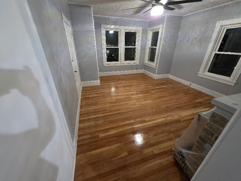 11 Shamrock St in Worcester, MA - Building Photo