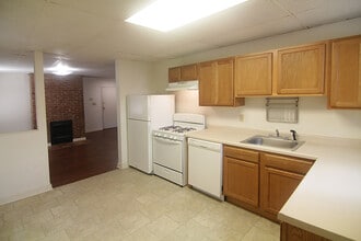 313 S Trenton Ave in Pittsburgh, PA - Foto de edificio - Building Photo