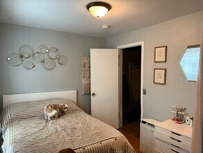 403 E Johnson St, Unit #3 in Madison, WI - Building Photo - Building Photo