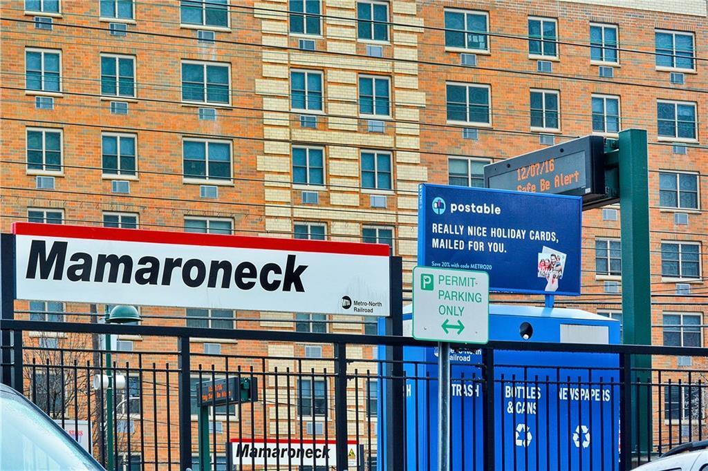 259 Mamaroneck Ave in Mamaroneck, NY - Building Photo