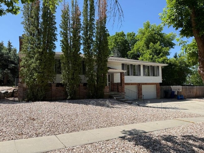 property at 1597 Navajo Dr