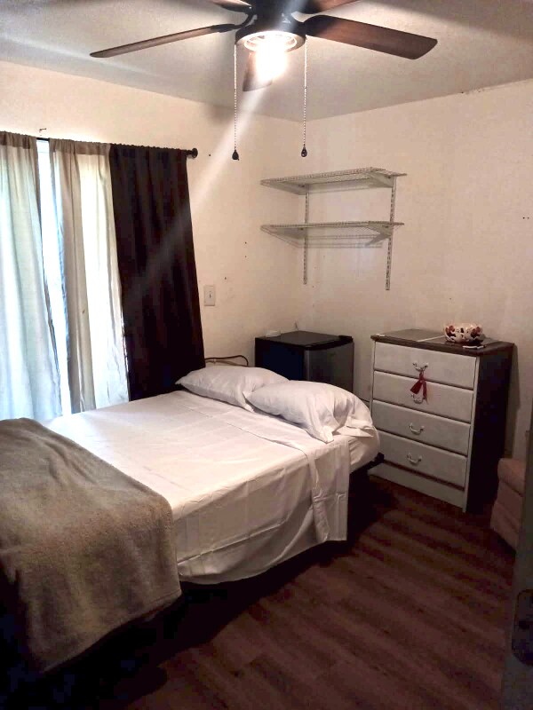 12116 Lamont Dr in Spring Hill, FL - Building Photo - Building Photo