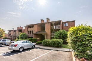 137 Green Turtle Ln in Charlottesville, VA - Building Photo