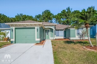 13522 Prestwick Dr in Riverview, FL - Building Photo