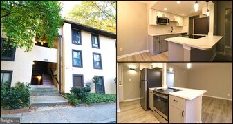 2249 Castle Rock Square, Unit 11C in Reston, VA - Building Photo
