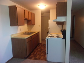 Edgewood Apartments in Paynesville, MN - Building Photo - Building Photo