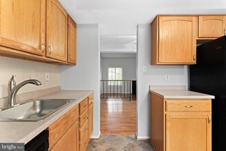1225 Driftwood Ct in Arnold, MD - Building Photo - Building Photo