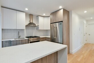 55 E Springfield St, Unit 4 in Boston, MA - Building Photo - Building Photo
