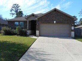 14021 Buffalo Gap Trail in Conroe, TX - Building Photo