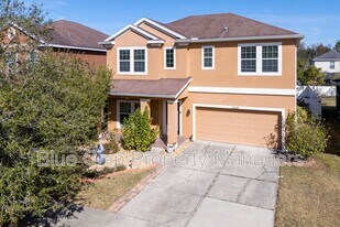 20204 Autumn Fern Ave in Tampa, FL - Building Photo