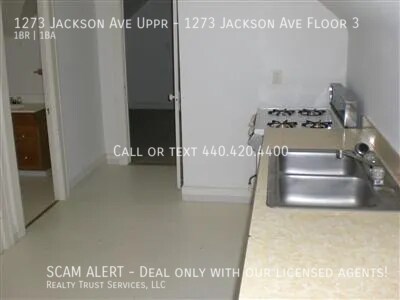 1273 Jackson Ave, Unit 1273 Jackson Ave Floor 3 in Lakewood, OH - Building Photo - Building Photo