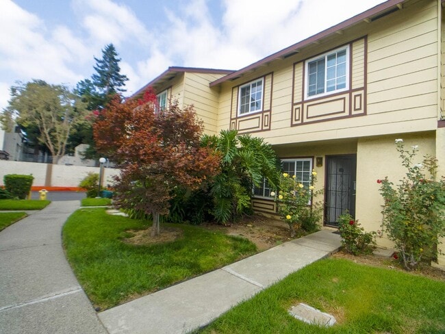 34114 Chamberlain Terrace in Fremont, CA - Building Photo - Building Photo