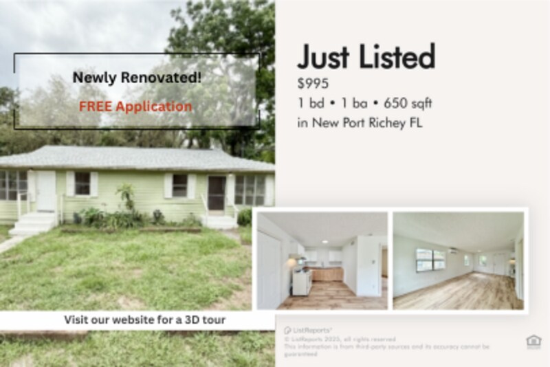 12005 Wanda Ave in New Port Richey, FL - Building Photo