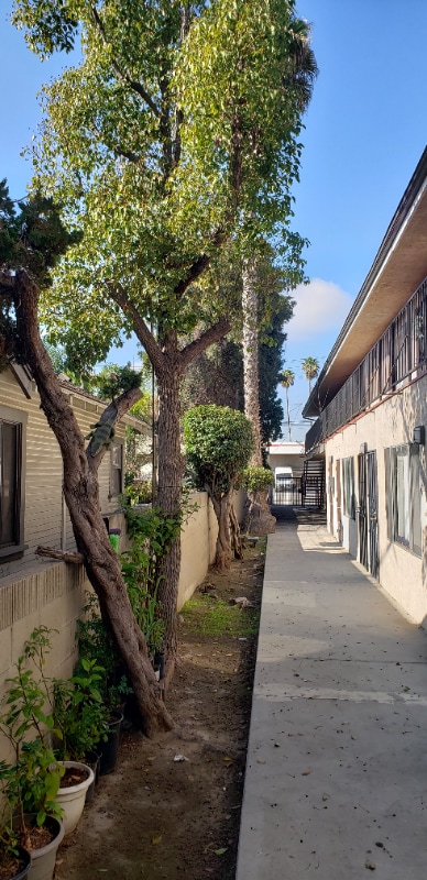 1023 Broad Ave in Los Angeles, CA - Building Photo - Building Photo