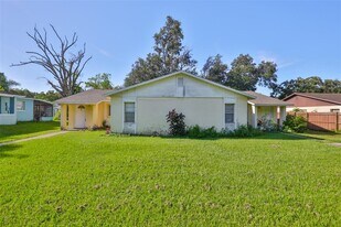 11507 Valencia Dr in Seffner, FL - Building Photo