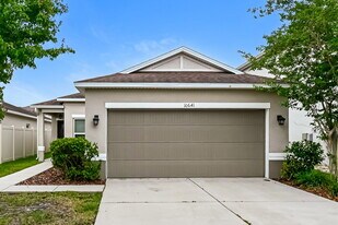 10641 Laguna Plains Dr in Riverview, FL - Building Photo