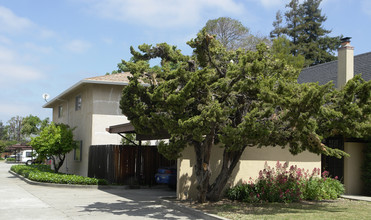 Queen Arms Townhomes in Hayward, CA - Building Photo - Building Photo