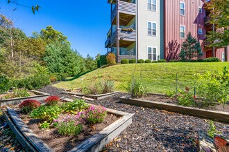 Skyloft Apartments in Asheville, NC - Foto de edificio - Building Photo