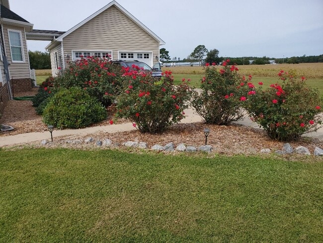 505 Acorn Hill Rd in Sunbury, NC - Building Photo - Building Photo