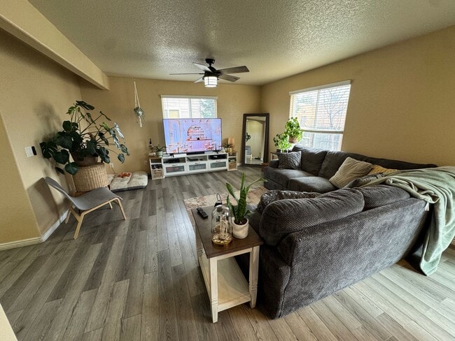 2384 Sierra Springs Dr in Colorado Springs, CO - Building Photo - Building Photo