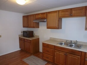 205 S Catherine St in Bay City, MI - Building Photo - Building Photo