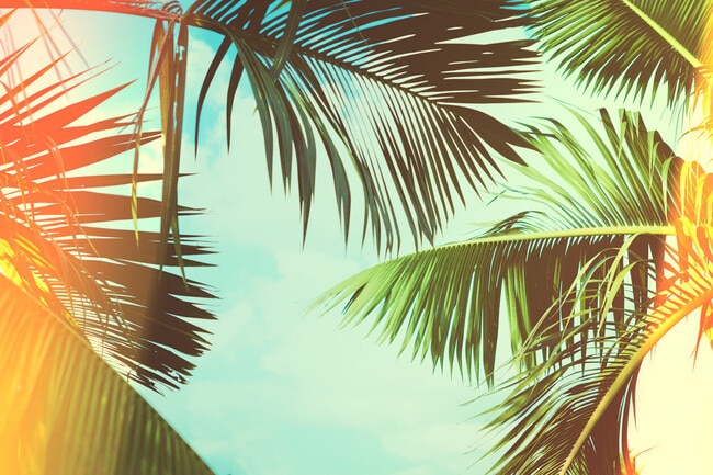 River Oak at Fernwood Forest