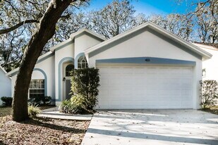 4111 Quail Briar Dr in Valrico, FL - Building Photo