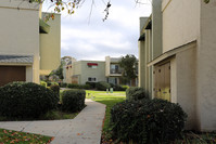 Maya Apartments in San Diego, CA - Foto de edificio - Building Photo