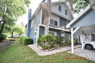 2701 Penzance St in Palm Harbor, FL - Building Photo