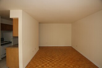 513 W Briar Pl in Chicago, IL - Building Photo - Building Photo