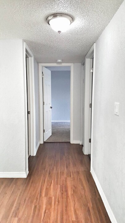 9847 Seminole Blvd in Seminole, FL - Building Photo