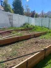 401 E Salem Hills Dr in Elk Ridge, UT - Building Photo - Building Photo