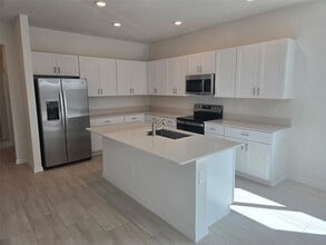 9872 Dancing Goat Pl in Land O Lakes, FL - Building Photo - Building Photo