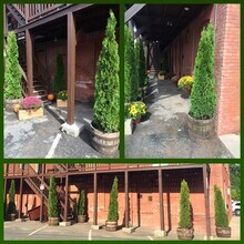 285 Pleasant St, Unit #3R in Northampton, MA - Building Photo - Building Photo