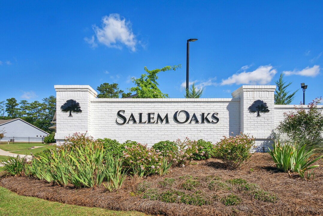 Salem Oaks in Mcdonough, GA - Foto de edificio