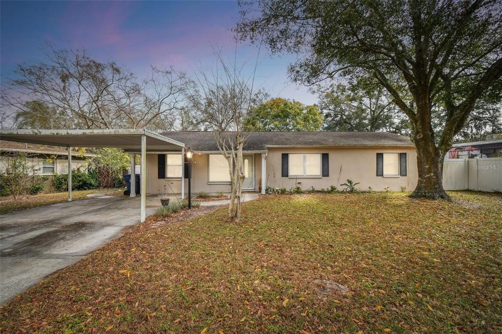 10903 N Newport Ave in Tampa, FL - Building Photo