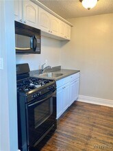 294 S Elmwood Ave in Buffalo, NY - Building Photo - Building Photo