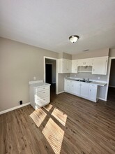 1161 E 23rd St in San Angelo, TX - Building Photo - Building Photo