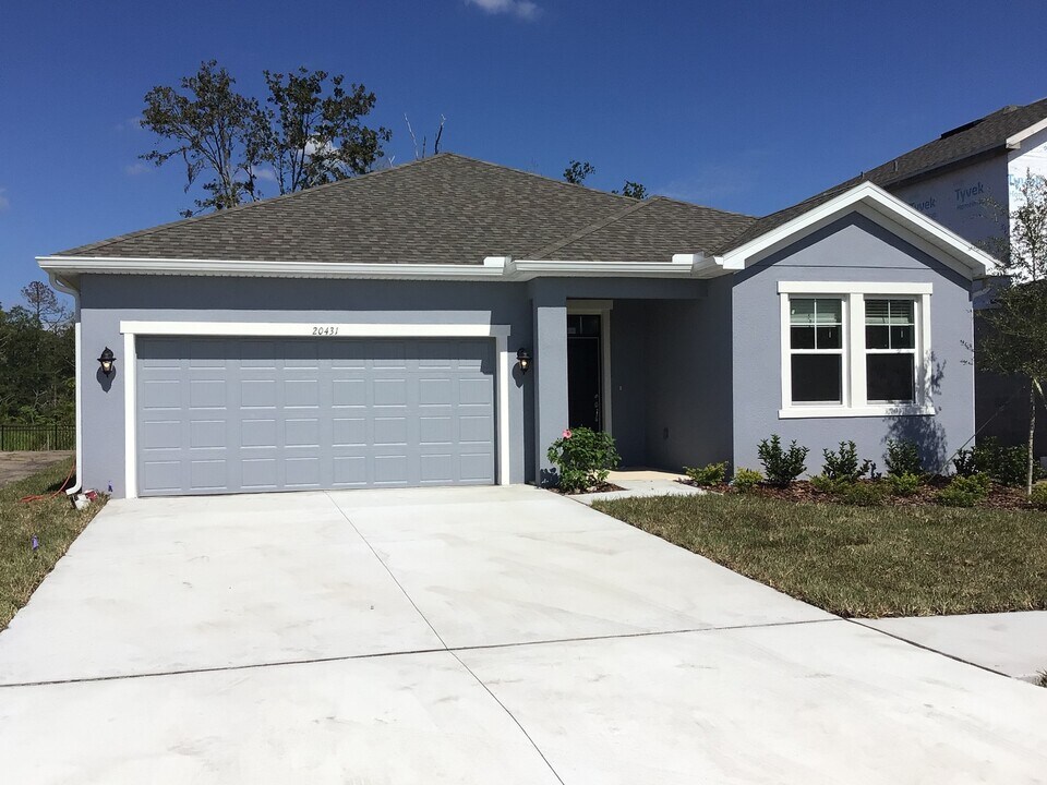 20431 Calla Lily Dr in Land O Lakes, FL - Building Photo