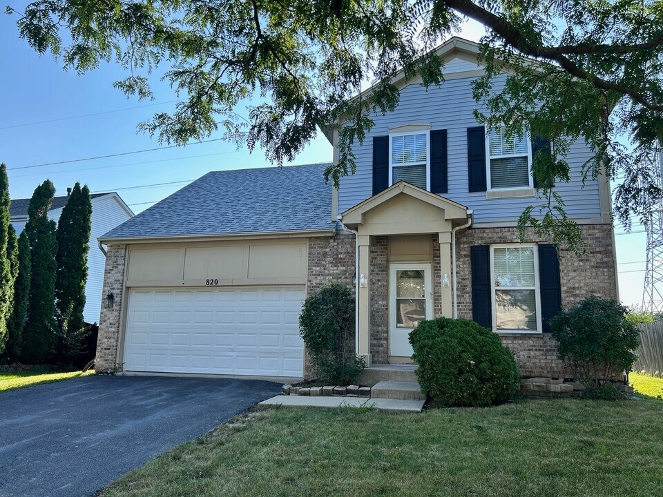 820 Rebecca Ln in Bolingbrook, IL - Building Photo