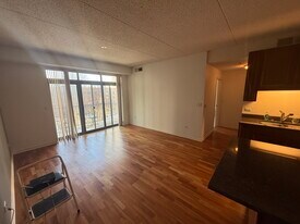1250 S Indiana Ave, Unit 1012 in Chicago, IL - Building Photo