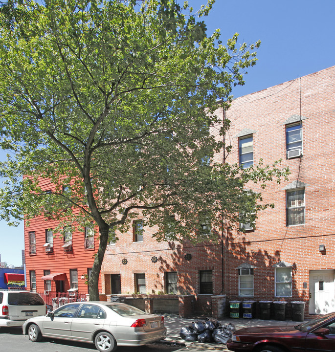 19 Park St in Brooklyn, NY - Building Photo