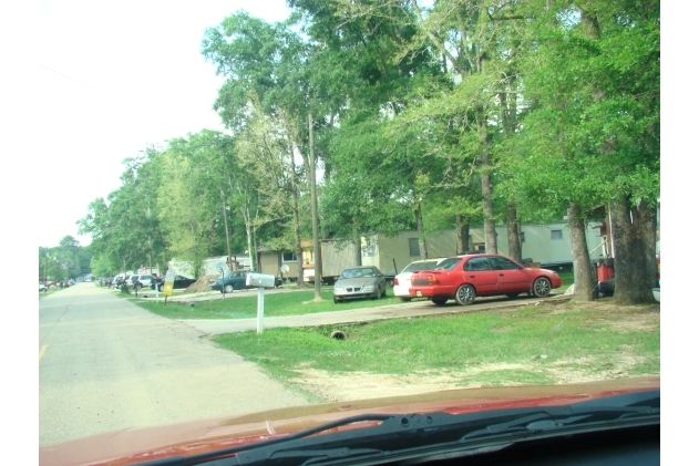 Colonial Oaks in Gonzales, LA - Building Photo - Building Photo