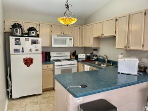 1185 N Village Dr in Round Lake Beach, IL - Building Photo - Building Photo