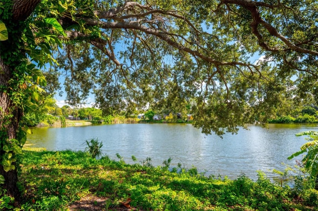 9049 Orchid Dr in Seminole, FL - Building Photo - Building Photo