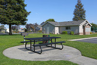 Lakewood Terrace Apartments in Madera, CA - Building Photo - Building Photo