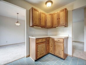 1920 Barberry Cir in Champaign, IL - Building Photo - Building Photo