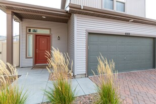 6553 Shadow Star Dr in Colorado Springs, CO - Building Photo