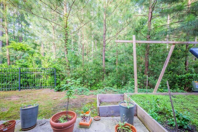 411 Alamosa Pl in Cary, NC - Building Photo - Building Photo