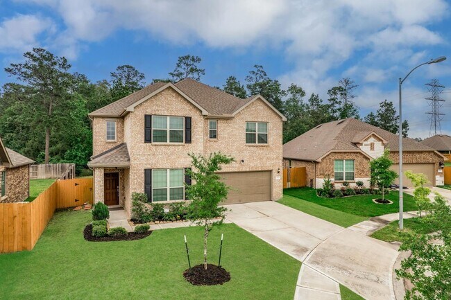 27817 Ellie Oak Ln in Spring, TX - Building Photo - Building Photo